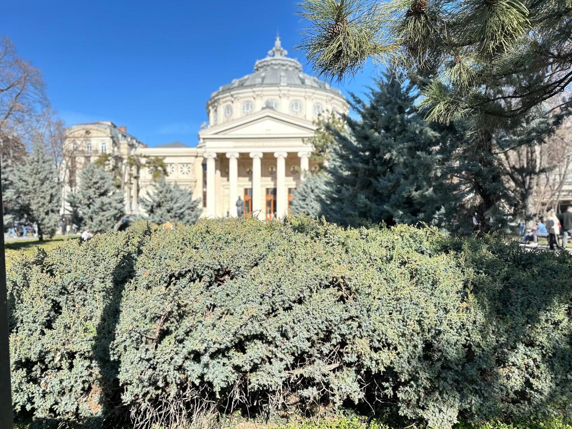 2Rooms Apartment Calea Victoriei - Atheneum Bucareste Exterior foto